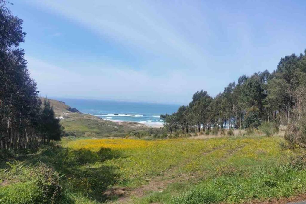 Junto Camino De Santiago,1ª Linea De Playa Leilighet Finisterre Eksteriør bilde
